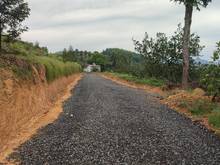 Hình ảnh ✅Cách Nhựa Lớn chỉ 100m có 1.3Ha Sầu Riêng Chuẩn Bị Thu Hoạch Giá 6 Tỷ