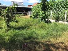 Hình ảnh ️CẦN TIÊN BÁN GẤP đất TẠI GÒ DẦU TÂY NINh GIÁ:370tr DT:111.1m2 cc ngay
