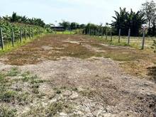Hình ảnh Bán gấp Lô Đất Vườn 1000m2 Giá 95tr sát TP.Tây Ninh