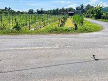 Hình ảnh bán 07 nền View Núi Bà DT: 5x20m sẵn Thổ - chỉ 25Tr/lô