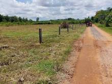 Hình ảnh ĐẤT GÒ DẦU, TÂY NINH❌ 👉 283 m2 (100 m2 thổ cư ONT) giá:281tr LH:Kim