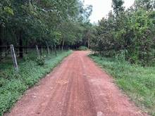Hình ảnh Thạnh Phước - Thạnh Bình - Tân Biên - TÂY NINH 🚩  ♦️Đất sào : 1021m2