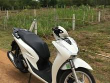 Hình ảnh Lô đất thổ vuông vức đẹp Châu Thành - Tây Ninh - Giá bán 65 triệu VND.