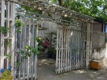 Hình ảnh Bán gấp lô đất thổ cư 105m2, Thới Tam Thôn, Hóc Môn, Giá 620Tr, SHR.