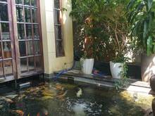 Hình ảnh Chính Chủ Cho Thuê Gấp Villa Thảo Điền 210m, 3 tầng, 5PN 5WC, Sân Vườn