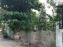 Hình ảnh Bán gấp lô đất thổ cư 163m2, Thới Tam Thôn, Hóc Môn, Giá 950 Triệu.