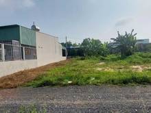 Hình ảnh Bán Gấp 4 Nền (20x40m=800m2) Giá 195 Triệu Thổ Cư, Giá 195tr