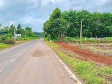 Hình ảnh HƠN 3.000M2 THỔ CƯ – NỞ HẬU, cạnh kcn, full tiện ích GIÁ 145 TRIỆU