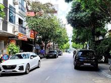 Hình ảnh Vỉa hè, oto tránh dừng đỗ, MT8,5m phố Dương Khuê, 67m2 22 tỷ
