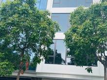 Hình ảnh Cho thuê tòa nhà Thiên Hiền, Mỹ Đình 105 mét 6 tầng thang máy 50 triệu