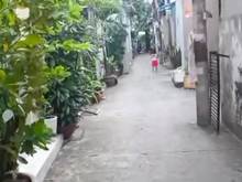 Hình ảnh Bán gấp nhà btct 4 tầng hẻm 3m nguyễn thái sơn, phường 5, gò vấp