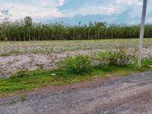 Hình ảnh H.Tân Biên, Tây Ninh.Còn 1 lô cuối. Giá 170tr/lô. Có 65m thổ cư. Ngang