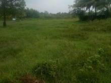Hình ảnh Cần bán đất 1100m2, pháp lý đầy đủ, gần ủy ban Trà Vong, Tân Biên TN