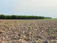 Hình ảnh Chủ nợ tiền bán gấp lô đất tân biên,tây ninh. 5 lô 1000m2 đất cây hàng