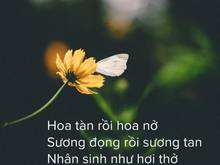 Hình ảnh Nhà cấp 4, diện tích 48m2, giấy tờ pháy lý đầy đủ