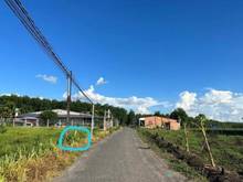 Hình ảnh Còn 2 lô đường nhựa bé xinh 5x33m; tc 50m. Chỉ 325tr/1 lô H.Châu Thành