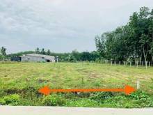 Hình ảnh Cọc nhanh thì còn ạ, còn đúng 1 lô 182m2 full tc giá:180tr H.Gò Dầu TN