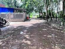 Hình ảnh Còn 2 lô tại Thạnh Bình. Tân Biên, Tây Ninh  Diện tích 5×30 thổ cư 50m