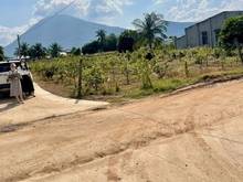 Hình ảnh 07 nền View Núi Bà, DT: 5x20m sẵn Thổ, hiện trạng đường BÊTÔNG (QH: 16