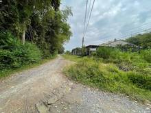 Hình ảnh Chủ cần tiền bán gấp lô đất trồng cây  Gò dầu , Tây Ninh  Diện tích :