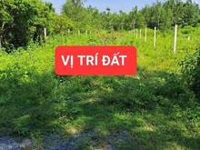 Hình ảnh Mình chính chủ cần bán đất THỔ CƯ GÒ DẦU, Tây Ninh dt:10×37.5m/195tr