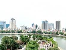 Hình ảnh Kinh Doanh Đỉnh! Cho thuê Mặt Phố Hoàng Cầu 235m2, 9 tầng, MT12m