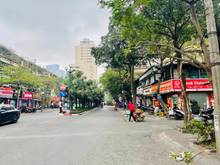 Hình ảnh 🌟Tập Thể Trần Huy Liệu-Ba Đình-T1-Ô TÔ-KD Đỉnh-2 mặt ngõ chỉ 8,3tỷ🌟