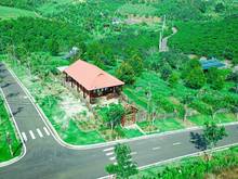 Hình ảnh 1 tỷ tậu ngay đất nền nghỉ dưỡng view săng mây Bảo Lộc