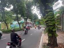 Hình ảnh Cho thuê MT Trương Định. P7. Quận 3