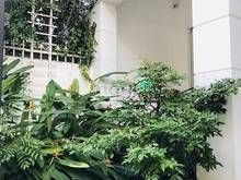 Hình ảnh Cho thuê nhà MT hầm, 4 tầng, có thang máy, 7x24m, 600m2 giá 40tr (TL)