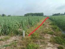 Hình ảnh hạ giá sập sàn bán gấp lô đất có 350m2 thổ cư Giá: 236tr Nhanh tay alo
