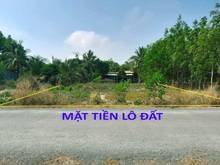 Hình ảnh Không chốt lô này là tiếc nha TÂN CHÂU-TÂY NINH giá:345tr 5×45 tc:100