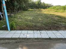 Hình ảnh Duy Nhất 490Triệu (110m2) mặt tiền đường trải nhựa ngay KCN Bàu Xéo