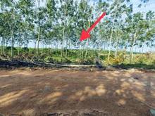 Hình ảnh Ở đâu rẽ hơn nữa cho luôn  Đất Tân Biên đường đỏ 5x30 thổ cư 50m đường