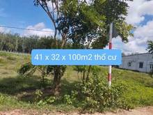 Hình ảnh ĐẤT NGỘP TÂY NINH giá chỉ 250triệu 110m2 đường nhựa 16m sổ hồng riêng