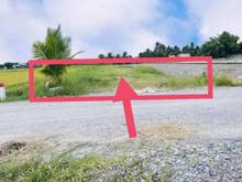 Hình ảnh Gấp- cây Trắc Phước Đông- Gò Dầu- Tây Ninh. ✅ (CHÂN DÀI_ít gặp) Ngang