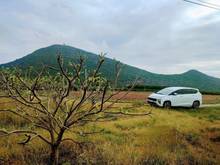 Hình ảnh Cần bán nhanh lô đất vườn mãng cầu đang thu hoạch. View núi bà, đường