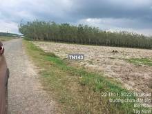 Hình ảnh Còn vài lô NGỘP đường nhựa QH20m , đường đất full thổ Bến Cầu Tây Ninh