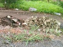 Hình ảnh chủ nhà ngộp thở lắm rồi cần ra gấp, lô đất sao lưng bưu điện DMC.TN