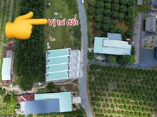 Hình ảnh Bán Gấp 2 Lô Đất Sổ Hồng Sẵn Ngay Ubnd Thạnh Đức Gò Dầu Tây Ninh 265Tr