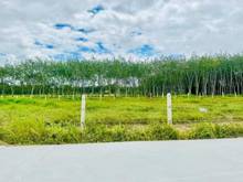 Hình ảnh GIÁ BAO SANG TÊN 395TR Bạch Đằng, Bình Thạnh, Trảng Bàng 125m² SHR