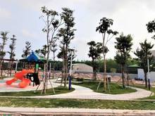 Hình ảnh CHUYỂN NHƯỢNG ĐẤT 786 TT Bến Cầu Tây Ninh 120m² giá 420tr FULL THỔ CƯ