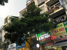 Hình ảnh Mặt Tiền Nguyễn Thiện Thuật- Kinh Doanh Sầm Uất- Hiếm bán-90m2