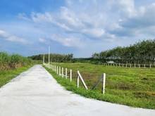 Hình ảnh BÁN GẤP ĐẤT Tân Long x. Thái Bình H. Châu Thành TN 160m² giá 270tr SHR