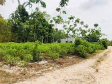 Hình ảnh Xã Tân Phong.Tân Biên  ♦️4 Lô fO hàng chưa qua Trang MB66.COM Chính Thức - MB 66 Uy Tín ♦️DT: 5x21m.25mT