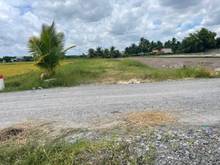 Hình ảnh (CHÂN DÀI_MIÊN MAN )  Ngang 9 x 107 (200m2) thổ cư ✅Đường thông không