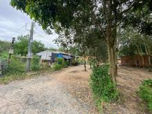 Hình ảnh VƯỜN CÂY ĂN TRÁI CHÂU THÀNH- TÂY NINH ♦️Diện tích: hơn 1300 m2 có 460