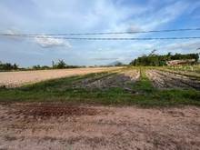 Hình ảnh Đất đẹp giá đẹp Thái Bình, Châu Thành   ❌Hết đất chỉ 255tr - Cách trun