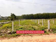 Hình ảnh Thạnh Đức - Gò Dầu  👉👉Cần tiền đáo hạn bank giảm ngay 60Tr cc gấp