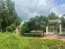 Hình ảnh (QUÁ RẺ)  Mặt tiền Nhựa thông 430triệu Ngang 5*43m full thổ cư
